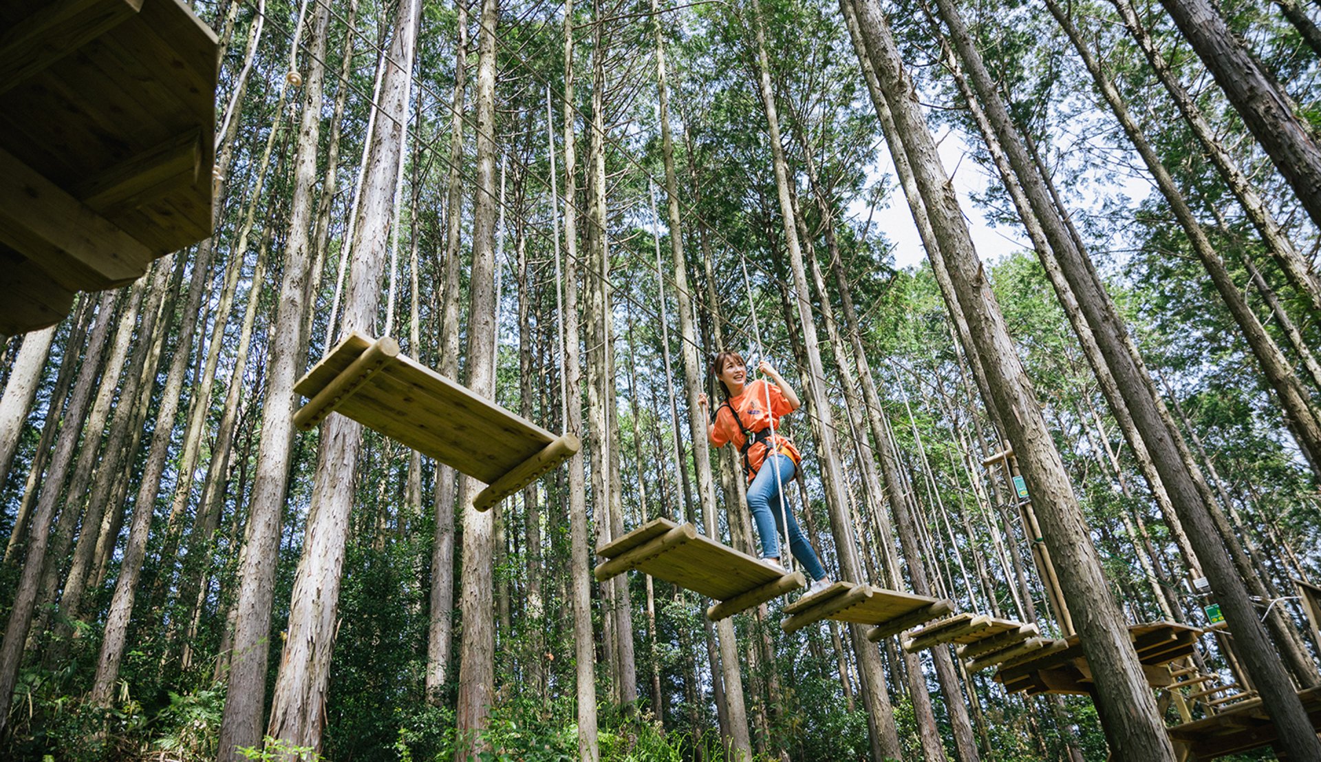 🌳 신시로 종합공원 (Shinshiro Comprehensive Park) 이미지 4
